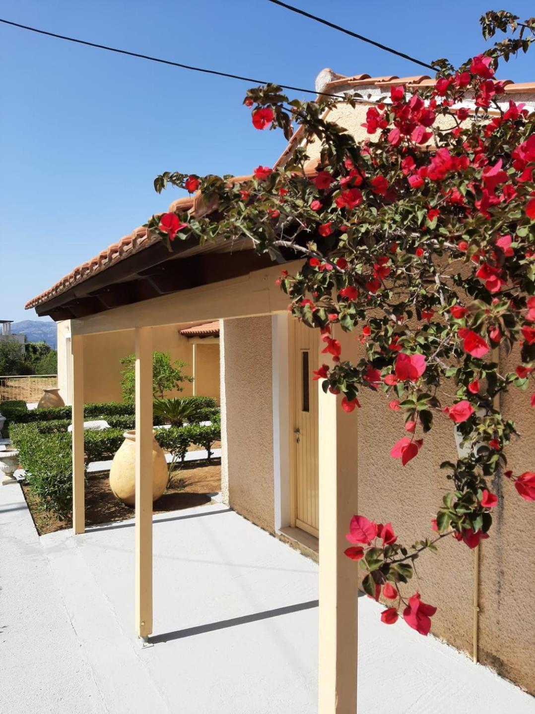 Aroma Studios Argostoli  Eksteriør bilde